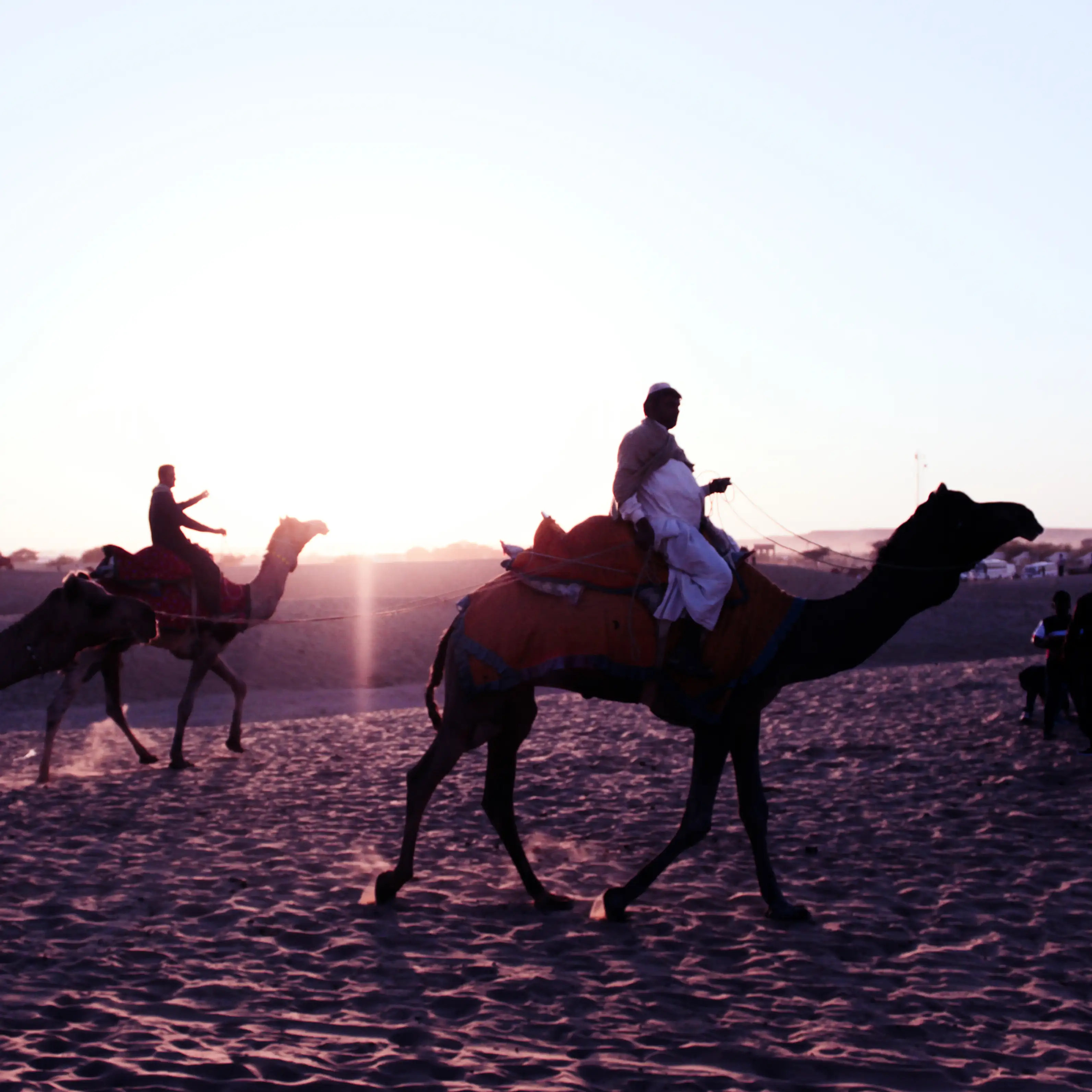 camel riders strolling in the sands of Jaisalmer