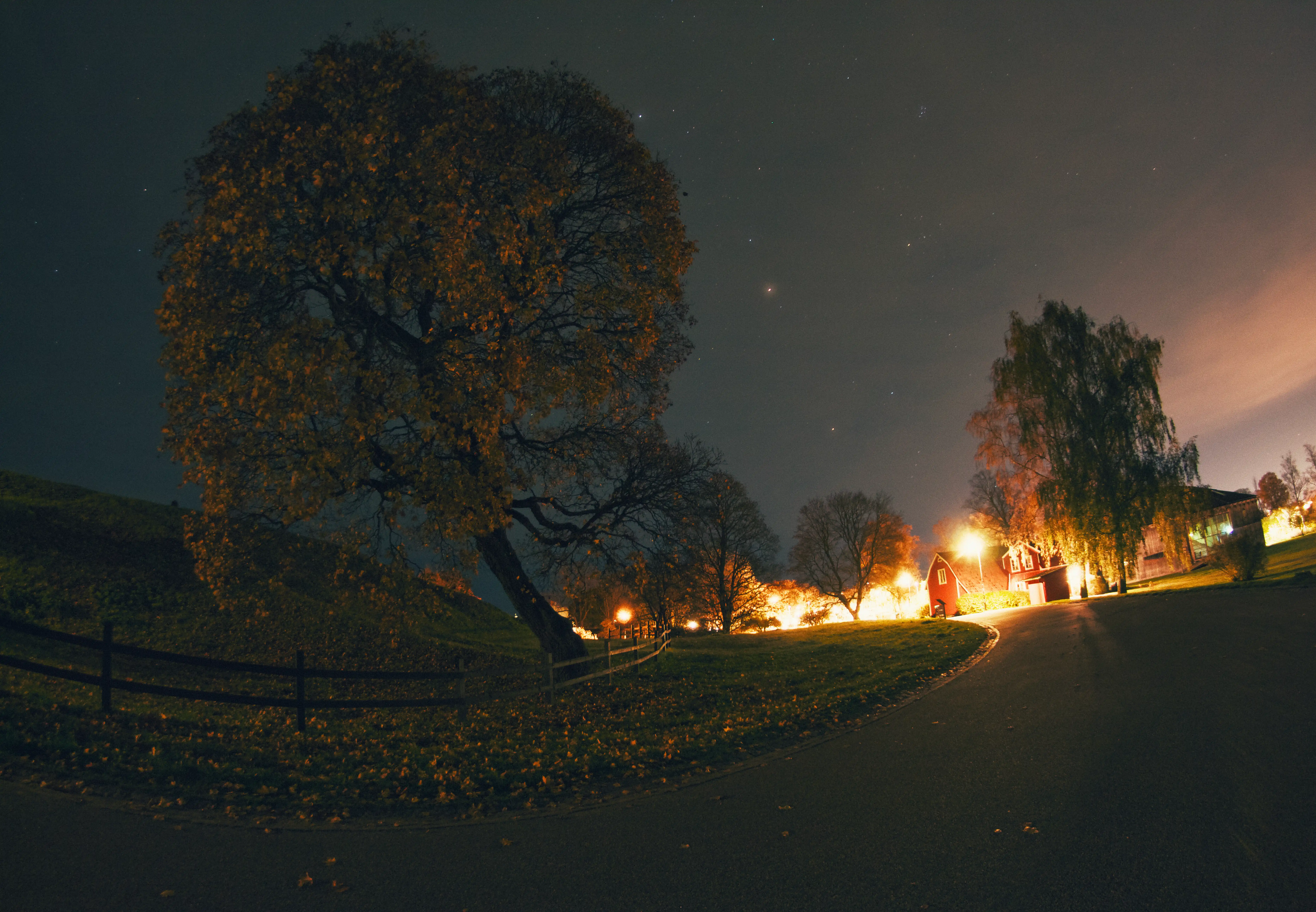 A long exposure of a street at Gamla Uppsala, with a tree in the middle.