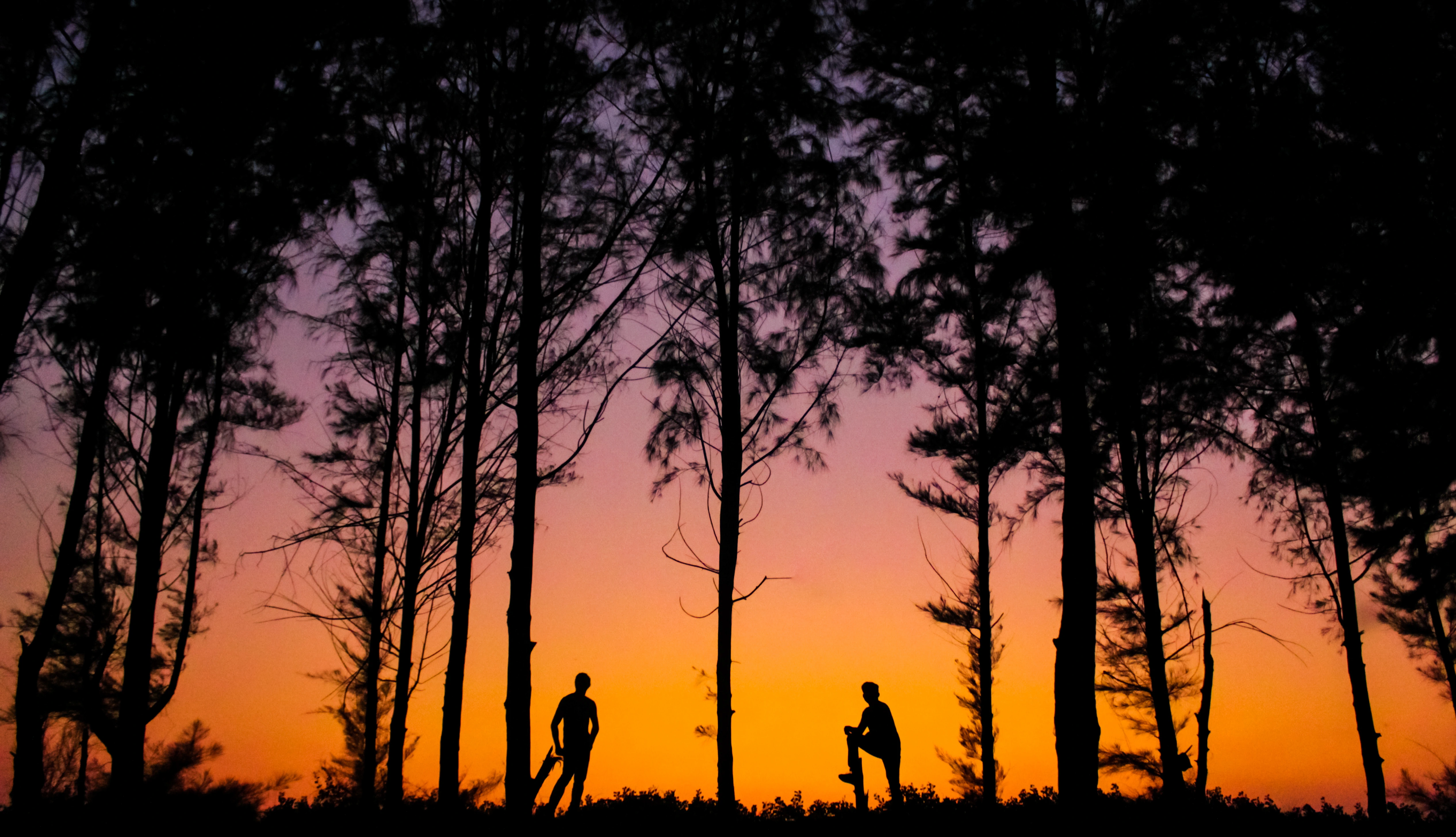 Silhouettes of two men standing by a silhouetted treeline, at Suruchi Beach, Mumbai