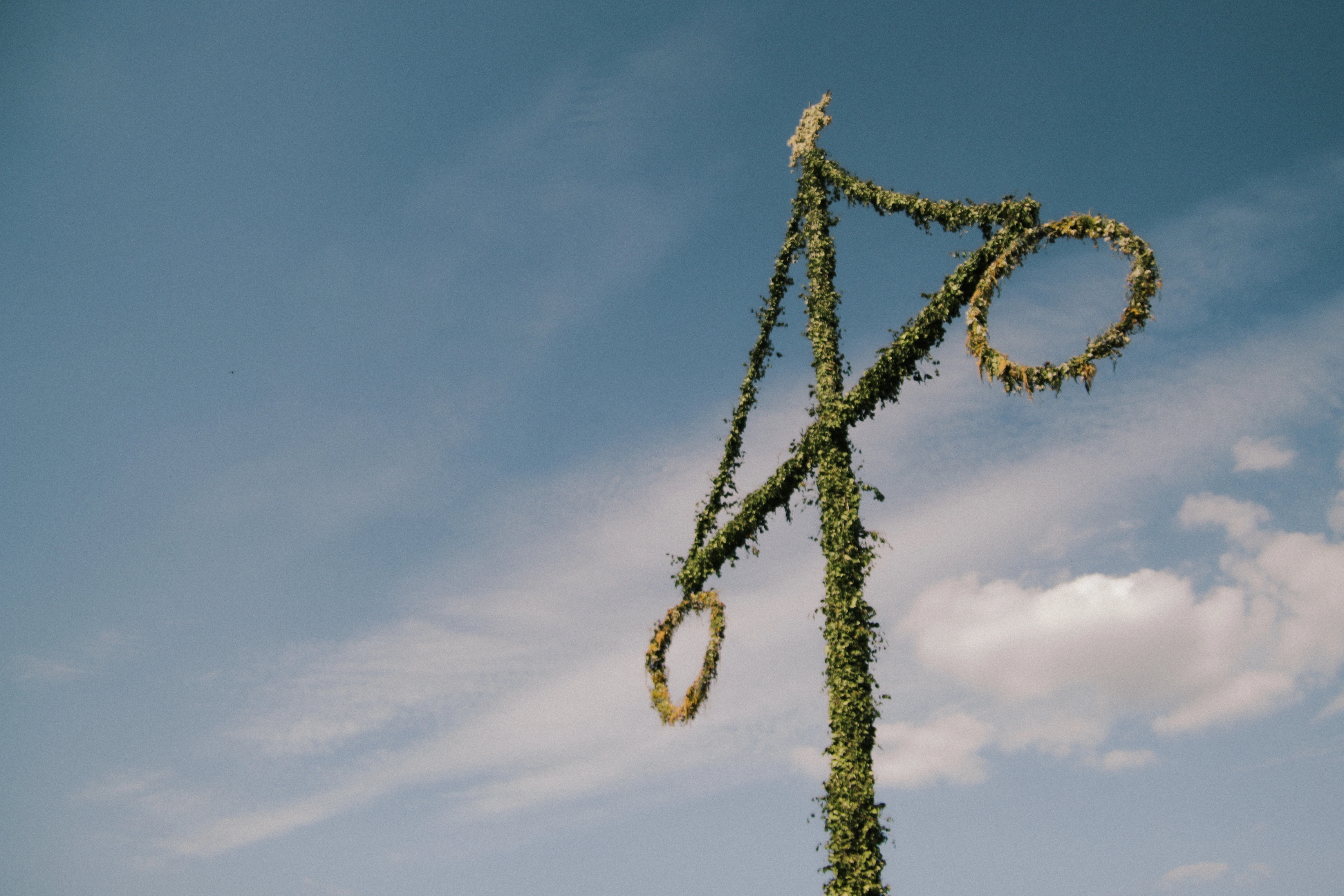 Wide shot of a Maypole at a Midsummer celebration in Uppsala, Sweden
